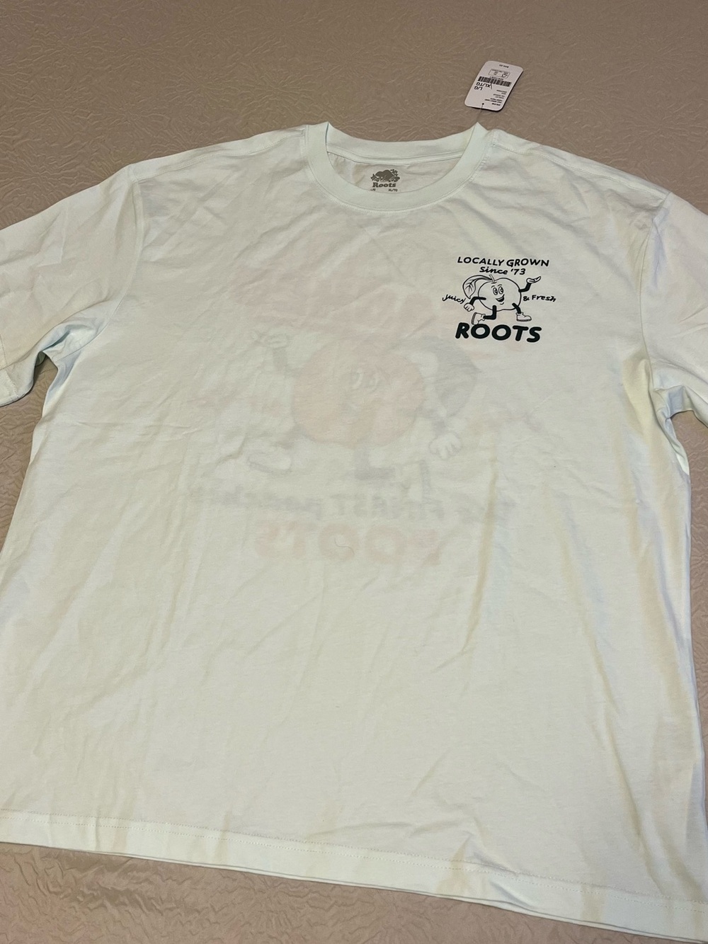 Roots Men's Mint Green Graphic Crewneck Tee